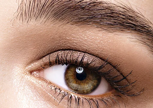 Brow Lift
